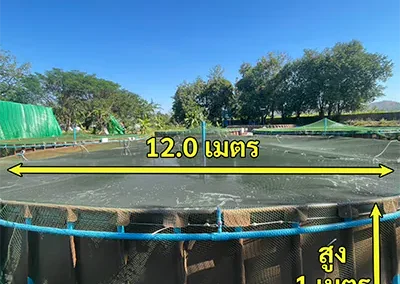 บ่อผ้าใบเลี้ยงปลาทรงกลม ขนาดเส้นผ่านศูนย์กลาง 12 เมตร สูง 1 เมตร พร้อมโครงสร้างแข็งแรง เหมาะสำหรับฟาร์มเพาะเลี้ยงปลาเชิงพาณิชย์