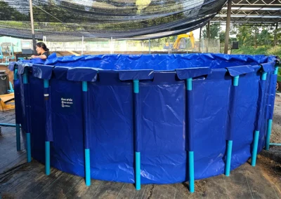 บ่อผ้าใบเลี้ยงปลาแบบทรงกลม ขนาดใหญ่ โครงสร้างท่อ PVC แข็งแรง ติดตั้งภายในโรงเรือนฟาร์ม เหมาะสำหรับเลี้ยงปลาและระบบเพาะเลี้ยงสัตว์น้ำ